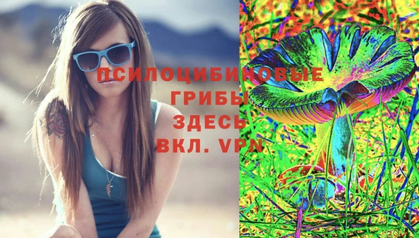 стафф Пересвет