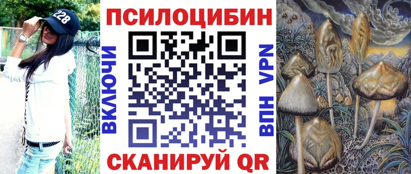 продажа наркотиков Навашино Галлюциногенные грибы ЛСД